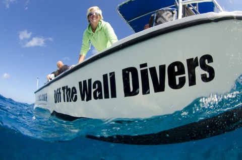 Off The Wall Divers 28 foot Parker